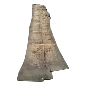 Monolit Jesionowy 395x86x8,5 cm