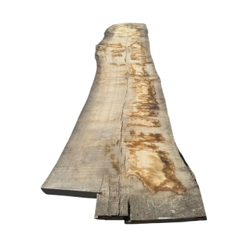 Monolit Jesionowy 395x86x8,5 cm