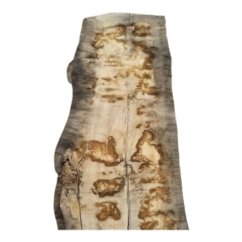 Monolit Jesionowy 395x86x8,5 cm