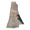 Monolit Jesionowy 390x93x8,5 cm