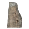 Monolit Jesionowy 390x93x8,5 cm