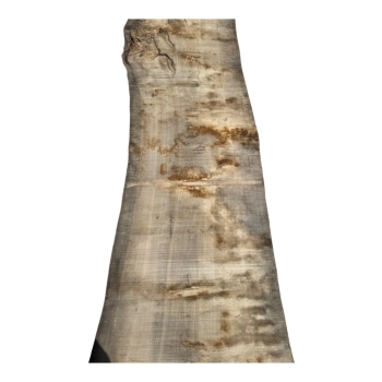 Monolit Jesionowy 390x93x8,5 cm