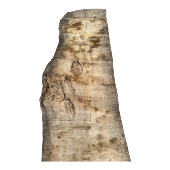 Monolit Jesionowy 390x93x8,5 cm
