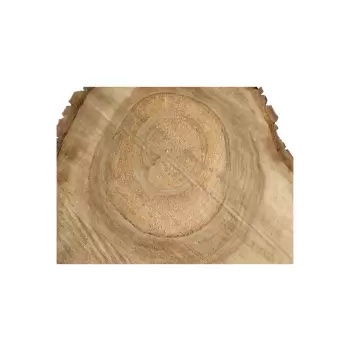Plaster Orzecha Włoskiego 47x44x6cm