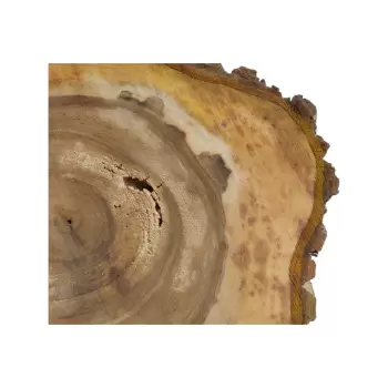 Plaster Orzecha Włoskiego 59x45x7cm