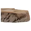 Plaster Orzecha Włoskiego 59x40x8cm
