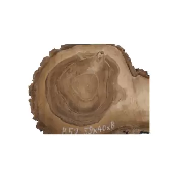 Plaster Orzecha Włoskiego 59x40x8cm