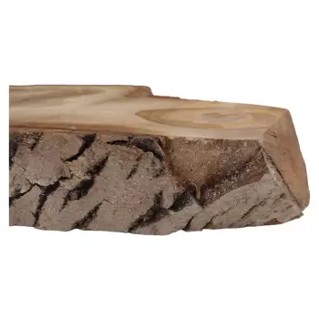 Plaster Orzecha Włoskiego 59x40x8cm
