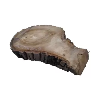 Plaster Orzecha Włoskiego 56x39x7cm