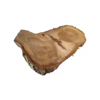 Plaster Orzecha Włoskiego 54x35x6cm