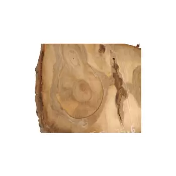 Plaster Orzecha Włoskiego 54x35x6cm