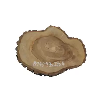 Plaster Orzecha Włoskiego 39x29x4cm