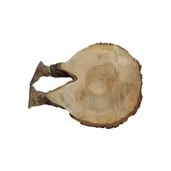 Plaster Kasztanowca 56x52x6cm