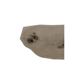 Deska Orzecha Włoskiego 60x2-18x2,8 cm