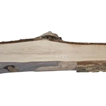 Deska Orzecha Włoskiego 124x8-16x2,6 cm