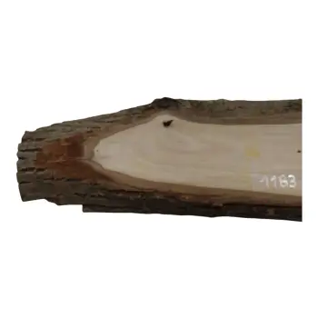 Deska Orzecha Włoskiego 74x5-13x2,9 cm