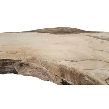 Deska Orzecha Włoskiego 94x14-29x2,7 cm