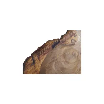 Plaster Orzecha Włoskiego 83x78x10cm