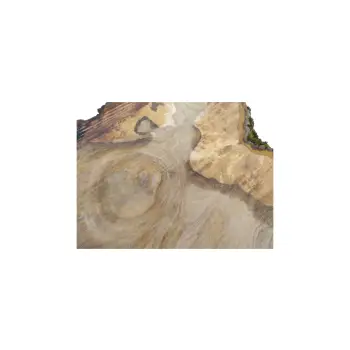 Plaster Orzecha Włoskiego 83x78x10cm