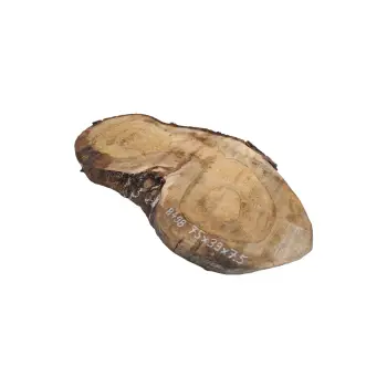 Plaster Orzecha Włoskiego 75x39x7,5cm