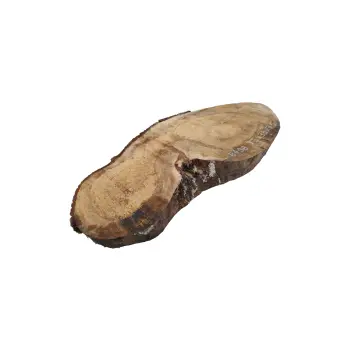 Plaster Orzecha Włoskiego 75x39x7,5cm