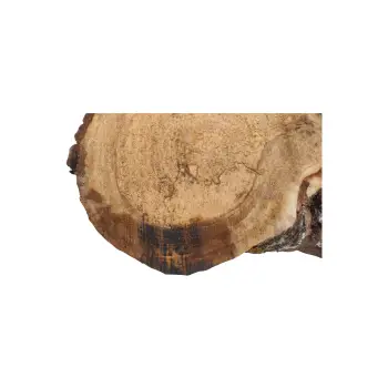 Plaster Orzecha Włoskiego 75x39x7,5cm
