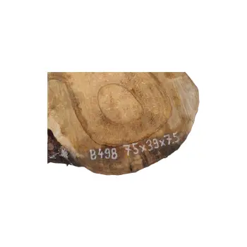 Plaster Orzecha Włoskiego 75x39x7,5cm