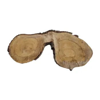 Plaster Orzecha Włoskiego 79x29/36x4cm