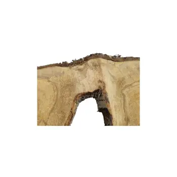 Plaster Orzecha Włoskiego 79x29/36x4cm