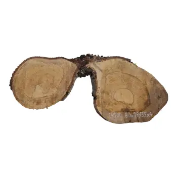 Plaster Orzecha Włoskiego 80x28/35x4cm