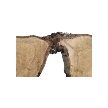 Plaster Orzecha Włoskiego 80x28/35x4cm