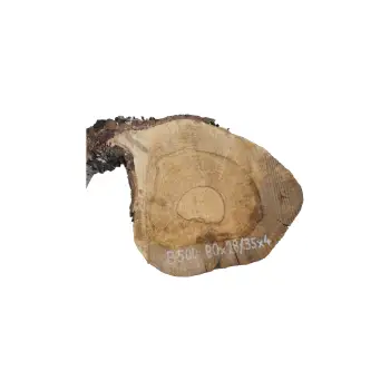 Plaster Orzecha Włoskiego 80x28/35x4cm