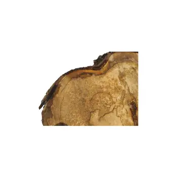 Plaster Orzecha Włoskiego 70x45x8cm