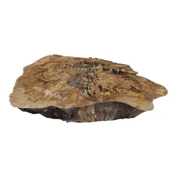Plaster Orzecha Włoskiego 82x63x9cm