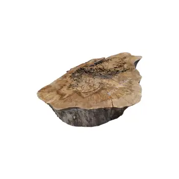 Plaster Orzecha Włoskiego 82x63x9cm