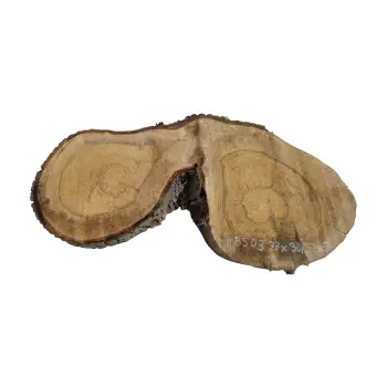 Plaster Orzecha Włoskiego 77x30/37x7cm