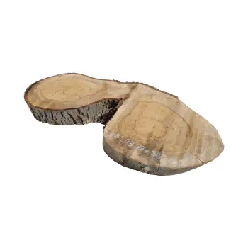 Plaster Orzecha Włoskiego 77x30/37x7cm