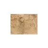 Plaster Orzecha Włoskiego 31x28x4cm
