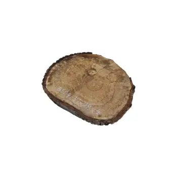 Plaster Orzecha Włoskiego 31x28x4cm