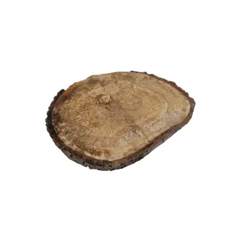 Plaster Orzecha Włoskiego 31x28x4cm