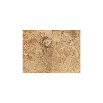 Plaster Orzecha Włoskiego 31x28x4cm