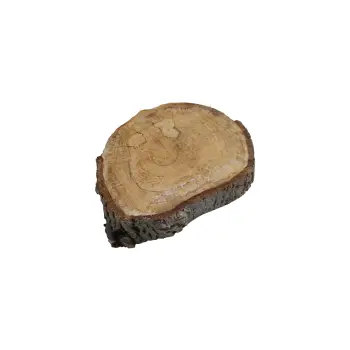 Plaster Orzecha Włoskiego 31x28x4cm