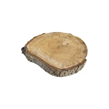 Plaster Orzecha Włoskiego 31x28x4cm