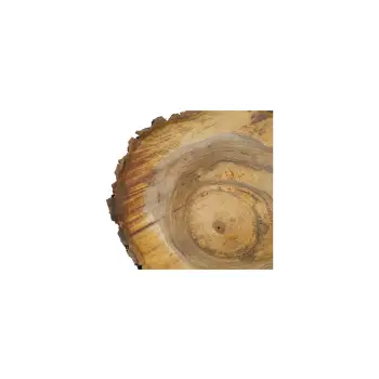 Plaster Orzecha Włoskiego 55x45x6cm