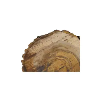 Plaster Orzecha Włoskiego 54x43x6cm