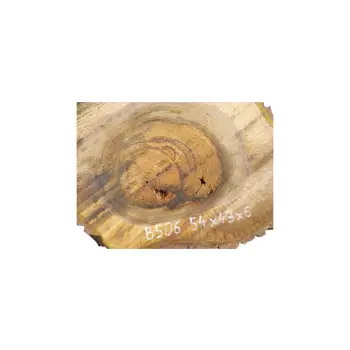 Plaster Orzecha Włoskiego 54x43x6cm