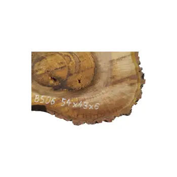 Plaster Orzecha Włoskiego 54x43x6cm