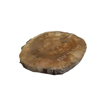 Plaster Orzecha Włoskiego 43x43x5cm