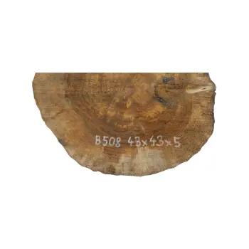 Plaster Orzecha Włoskiego 43x43x5cm