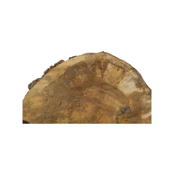 Plaster Orzecha Włoskiego 43x43x5cm